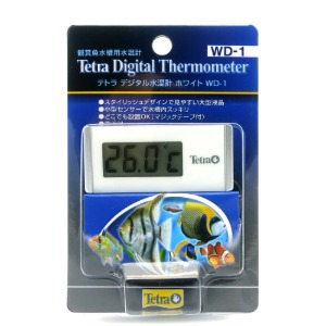 테트라 전자식온도계 WD-1 화이트